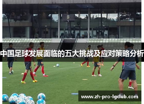 中国足球发展面临的五大挑战及应对策略分析