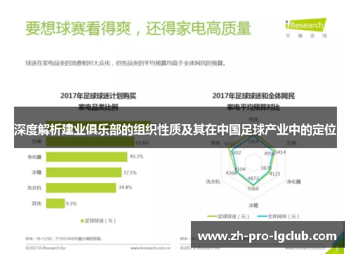 深度解析建业俱乐部的组织性质及其在中国足球产业中的定位 深度解析建业俱乐部的组织性质及其在中国足球产业中的定位